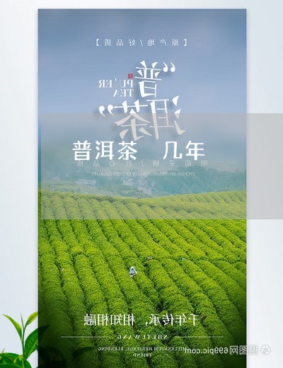 普洱茶 几年/2023042840940